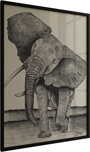 elefante